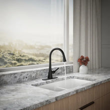 将图片加载到图库查看器,Kohler Company Guild Pulldown Kitchen