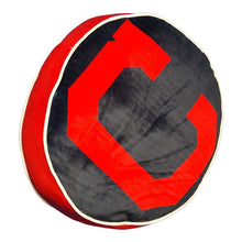 将图片加载到图库查看器,MLB Cloud Pillow Assorted Size & Team