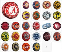 将图片加载到图库查看器,NCAA 15" Cloud Pillow Choose Your Team