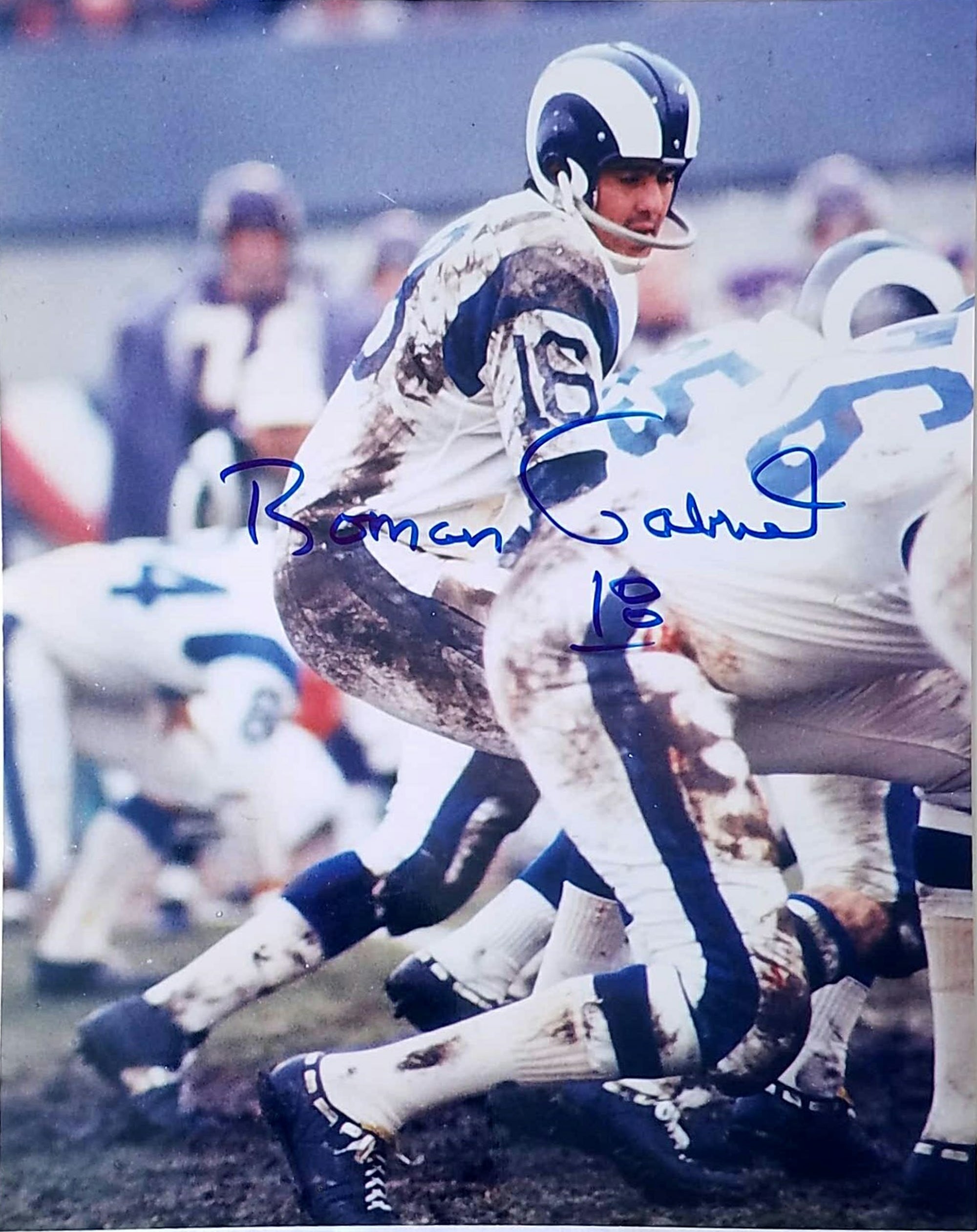 Roman Gabriel Signed Photo - 8X10