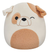 تحميل الصورة إلى عارض المعرض، Original Kellytoys Squishmallows 14 Inch Plush - Choose Your Style
