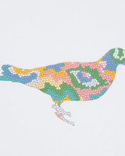 Load image into Gallery viewer, Jeff Staple Mosaic Pigeon Tee, Size Medium
