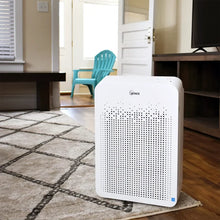将图片加载到图库查看器，Winix True HEPA 4 Stage Air Purifier with Wi-Fi and Additional Filter - Open Box
