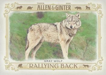 2021 Topps Allen & Ginter's Rallying Back Gray Wolf #RB-1