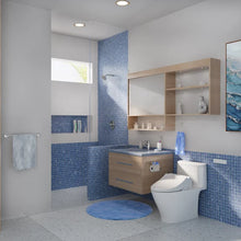 将图片加载到图库查看器，TOTO Washlet Elongated Bidet Seat with SoftClose Lid
