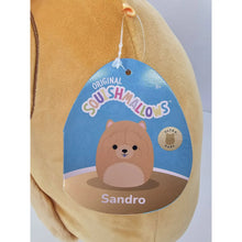 Load image into Gallery viewer, Squishmallows Sandro the Chow Chow 11&quot; Ultra-Rare Stuffed Plush
