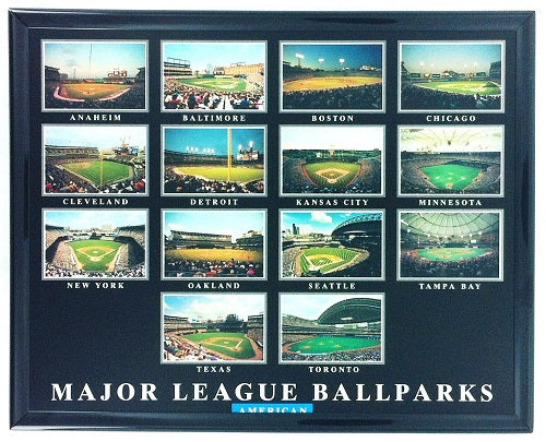 NFL/MLB/NCAA  8