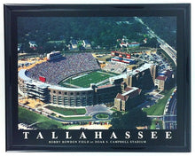 تحميل الصورة إلى عارض المعرض، NFL/MLB/NCAA  8&quot;x10&quot; Field Stadium Poster Print Framed
