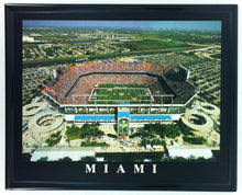 تحميل الصورة إلى عارض المعرض، NFL/MLB/NCAA  8&quot;x10&quot; Field Stadium Poster Print Framed
