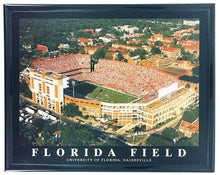 تحميل الصورة إلى عارض المعرض، NFL/MLB/NCAA  8&quot;x10&quot; Field Stadium Poster Print Framed
