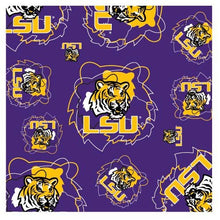 Load image into Gallery viewer, NCAA Team Silky Scarf - Assorted Teams Choose Your
