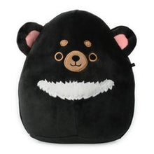 将图片加载到图库查看器，Original Kellytoys Squishmallows 8 Inch Plush Variation - Choose Your Style
