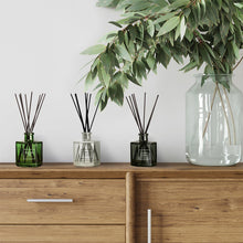 将图片加载到图库查看器，Bellevue Geo Reed Diffuser Set 6oz, 3-pack
