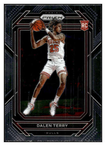2022-23 Panini Prizm Dalen Terry Rookie Base #240 Chicago Bulls