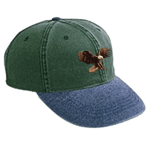 Travis Scott Birds in the Trap Bird Washed Denim Hat Green