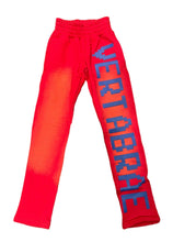 将图片加载到图库查看器，Vertabrae C-2 Sweat Pants Washed (Red &amp; Blue)
