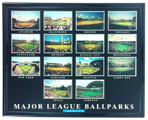 American Major League Ballparks Poster Print Framed 8x10