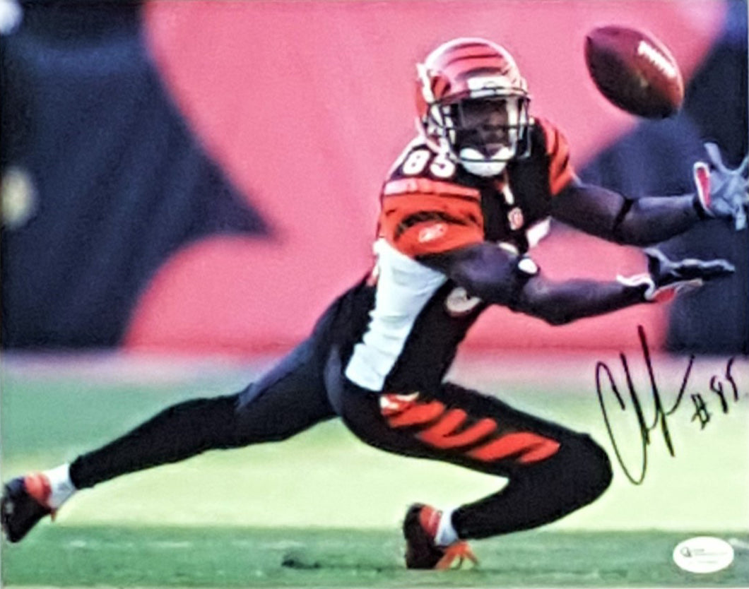 Chad Johnson Signed Autographed 8x10 Framed