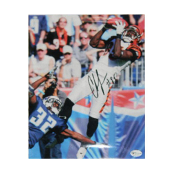 Chad Johnson Signed Autographed 8x10 Matted