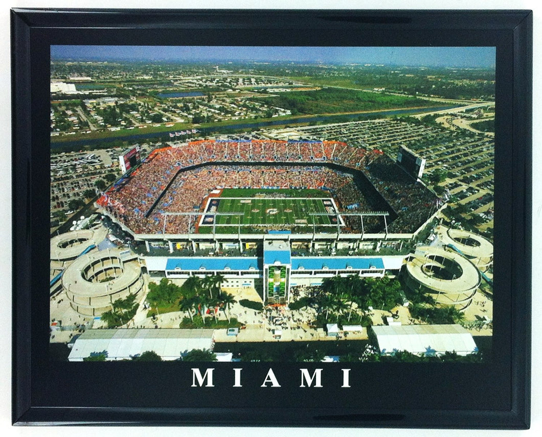 Miami Dolphins 'Pro Player Stadium' 8