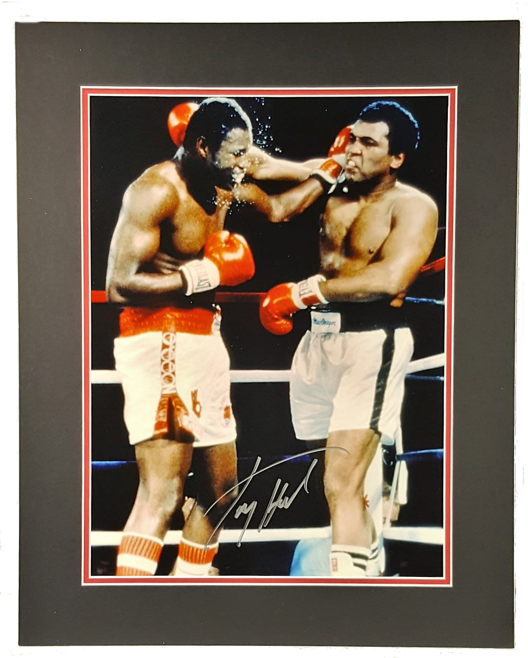 Larry Holmes Signed Autographed 16x20 Matted