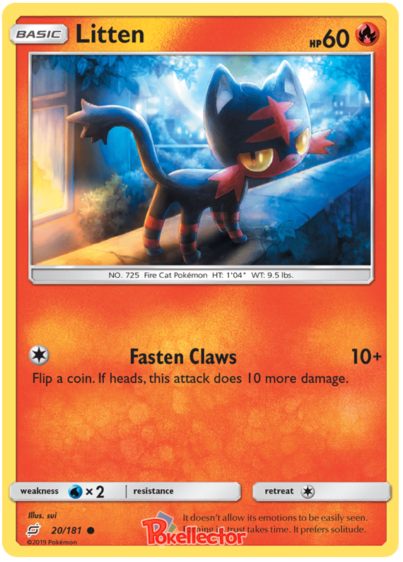Sun and Moon Team Up 020  Litten