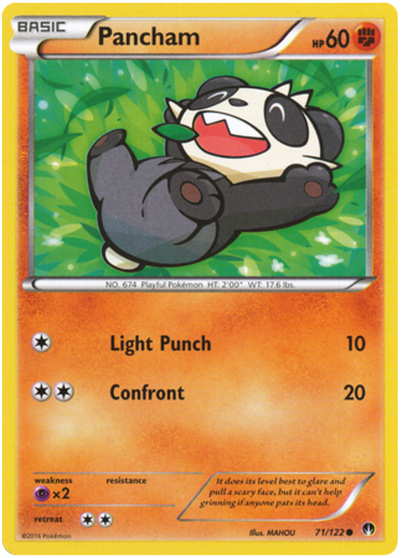 XY BREAKPoint 071  Pancham