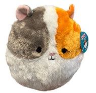 Squishmallows Fuzzamallow Everett the Hamster 12