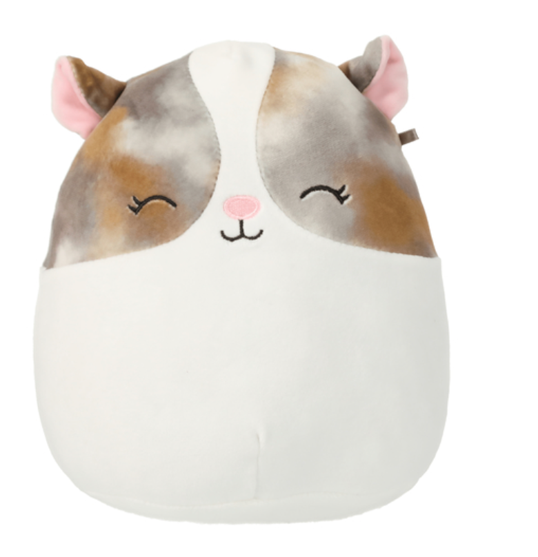 Squishmallows Pax the Multi-Colored Hamster Blinking Eyes 7.5