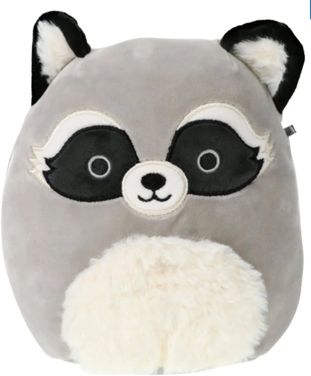 Squishmallows Galic The Raccoon 5